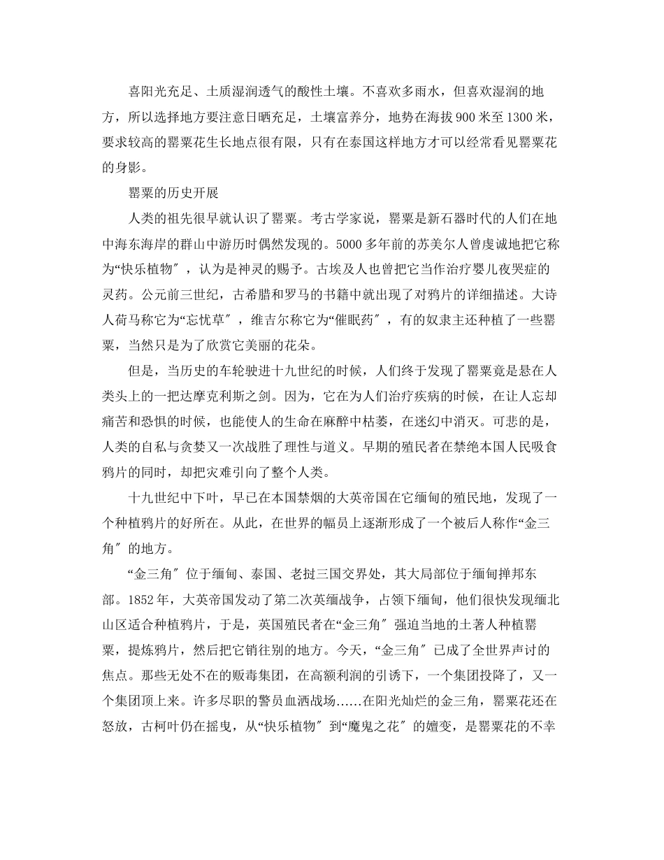 2023年白色罂粟的花语和传说.docx_第2页