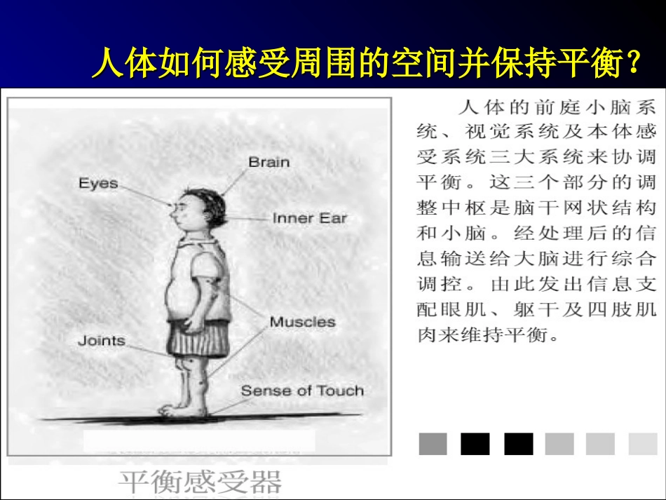 眩晕与后循环缺血.夏磊.ppt_第2页