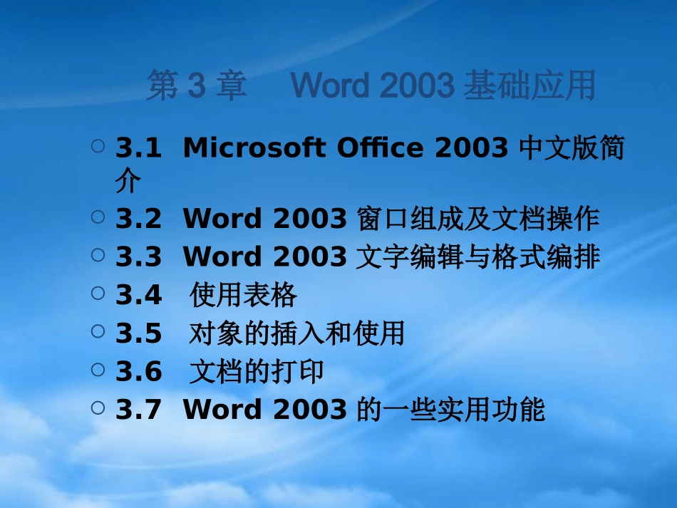 Word2003基础应用介绍.pptx_第1页