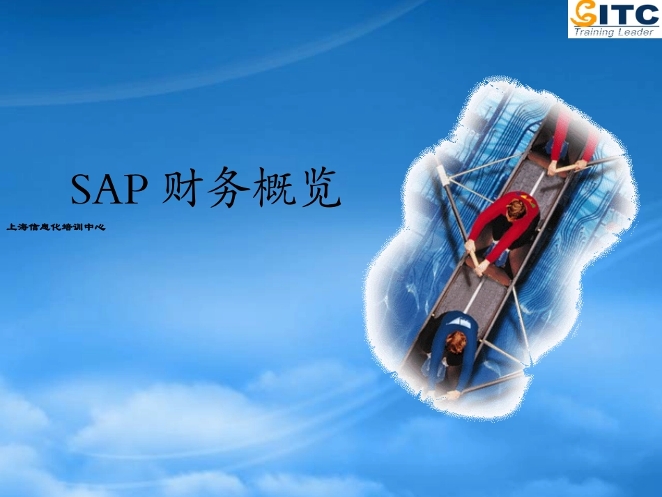 SAP“加”FICO“加”OverviewPPT.pptx_第1页