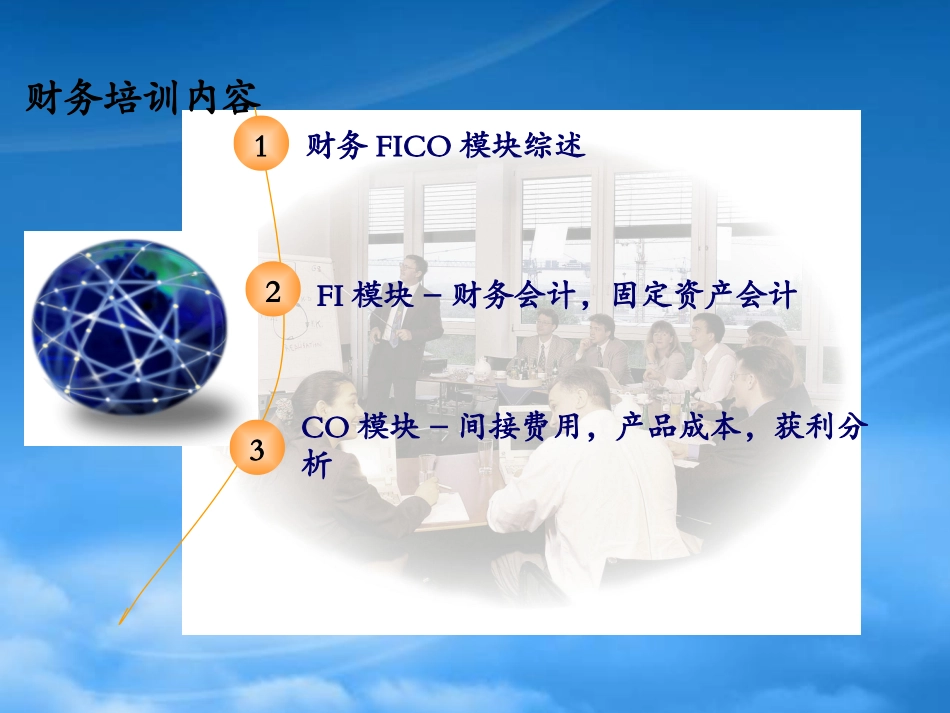 SAP“加”FICO“加”OverviewPPT.pptx_第2页