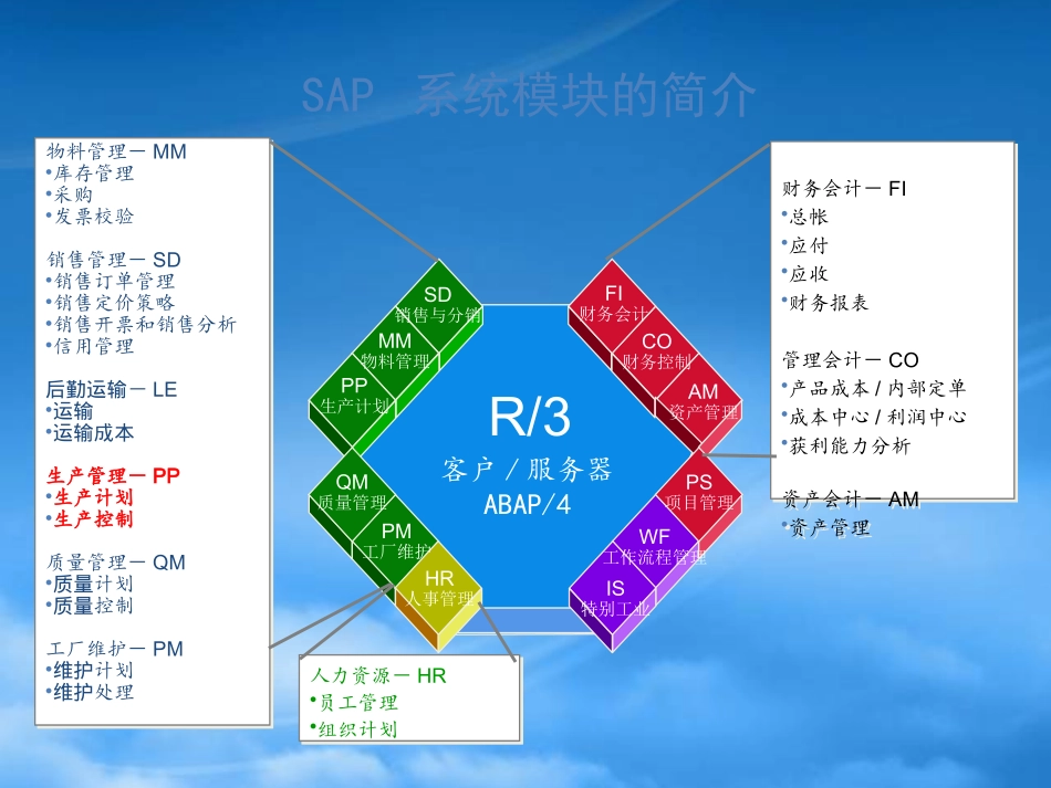 SAP基本介绍.pptx_第1页