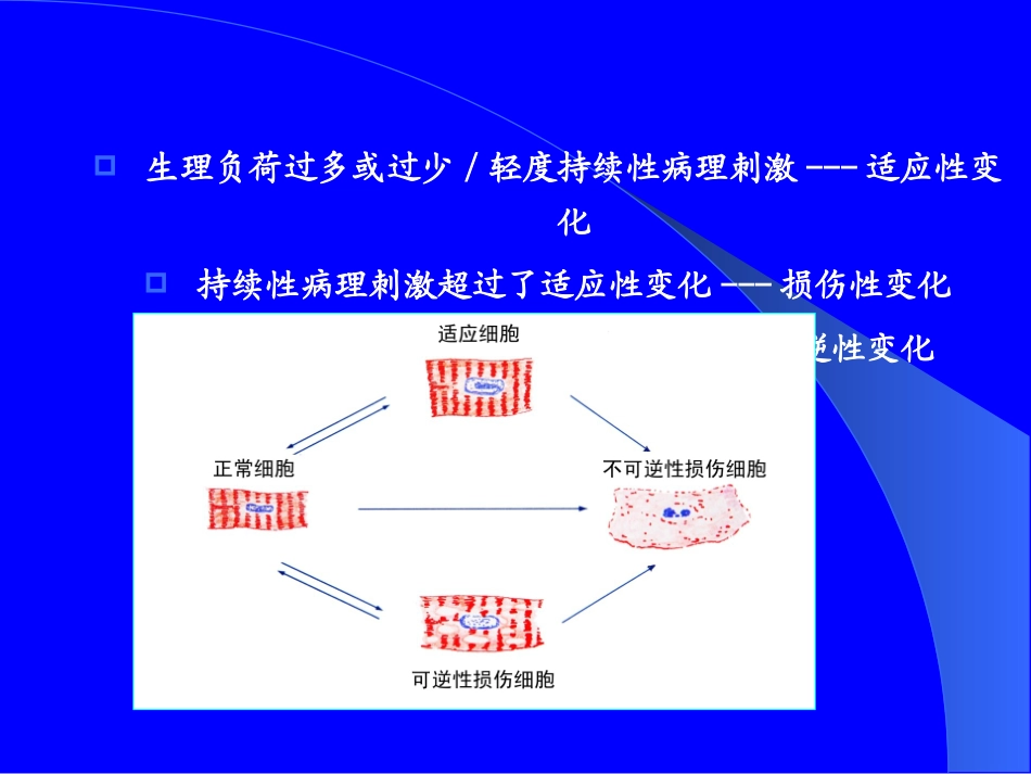 细胞组织损伤和修复.ppt_第2页