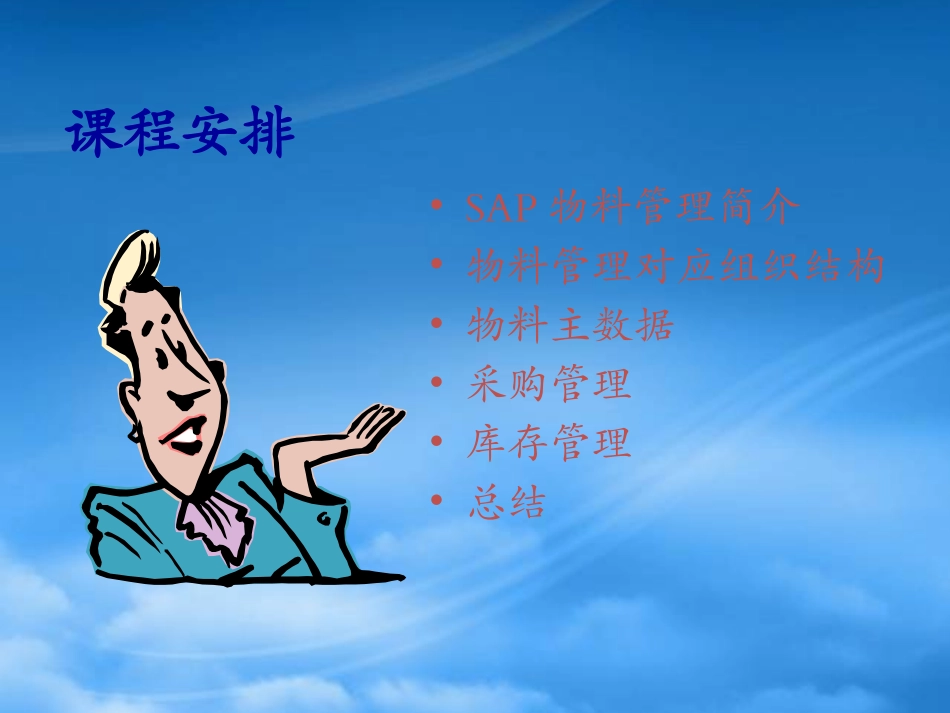 SAPMM标准资料-中文版.pptx_第3页