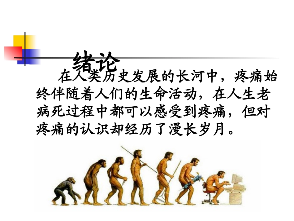 疼痛外周.ppt_第2页