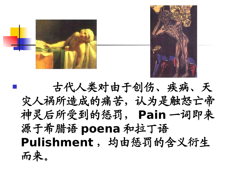 疼痛外周.ppt_第3页