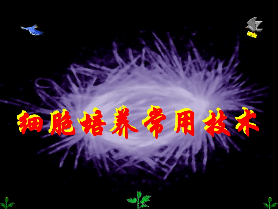 细胞培养常用技术.ppt_第1页