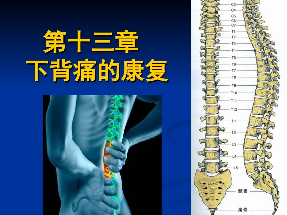 下背痛的康复.ppt_第1页