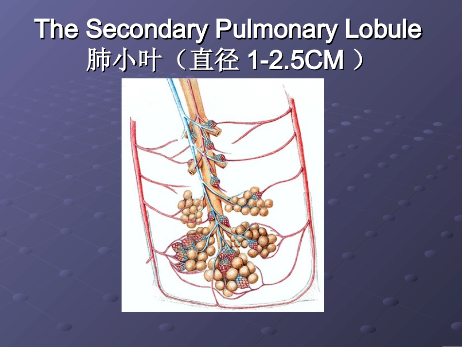 胸部常见CT征象认读..ppt_第2页