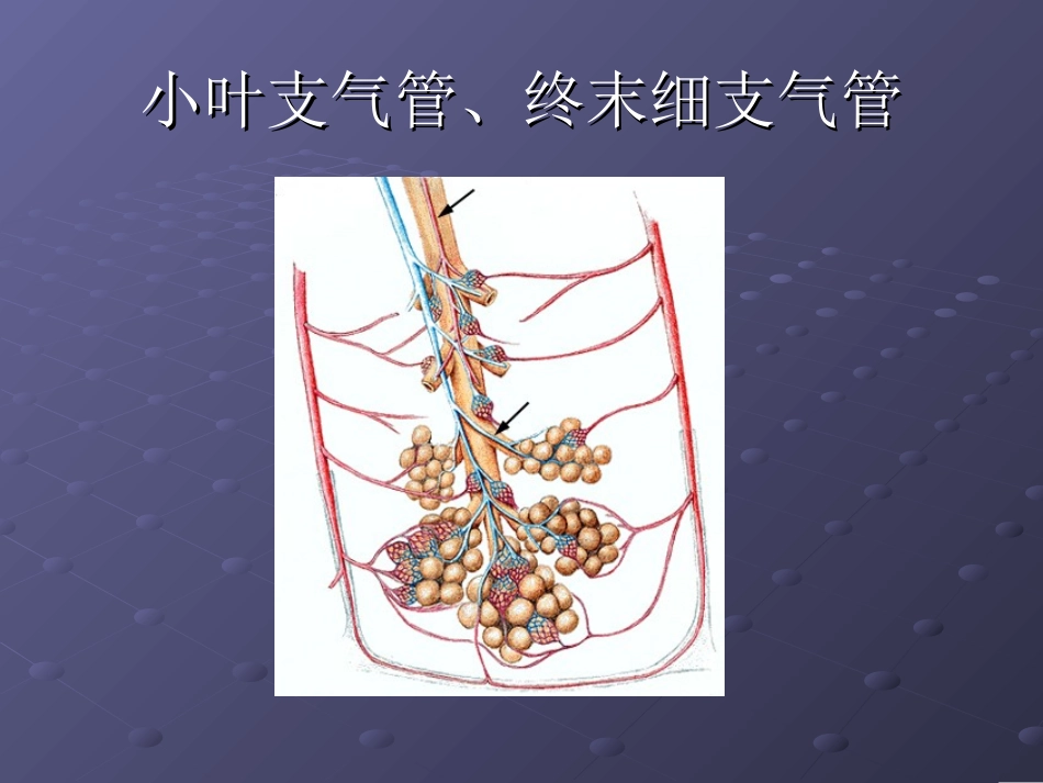 胸部常见CT征象认读..ppt_第3页