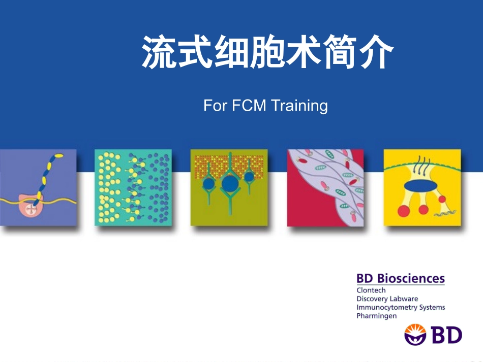 2023年BD流式全面介绍（教学课件）.ppt_第1页