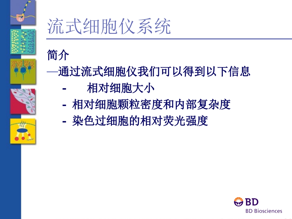 2023年BD流式全面介绍（教学课件）.ppt_第3页