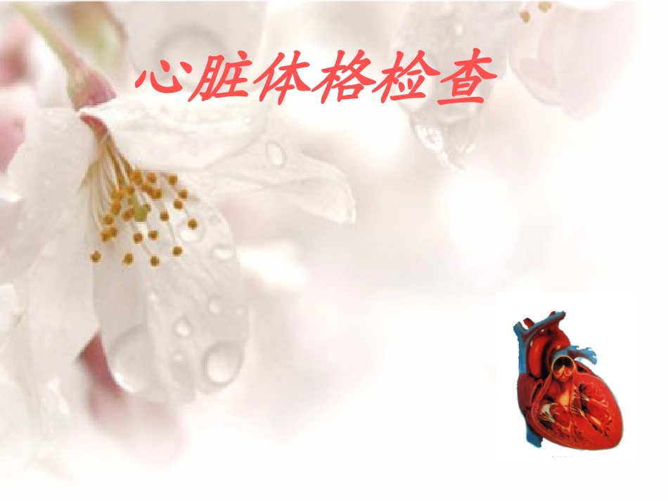 心脏体格检查.ppt.ppt_第1页