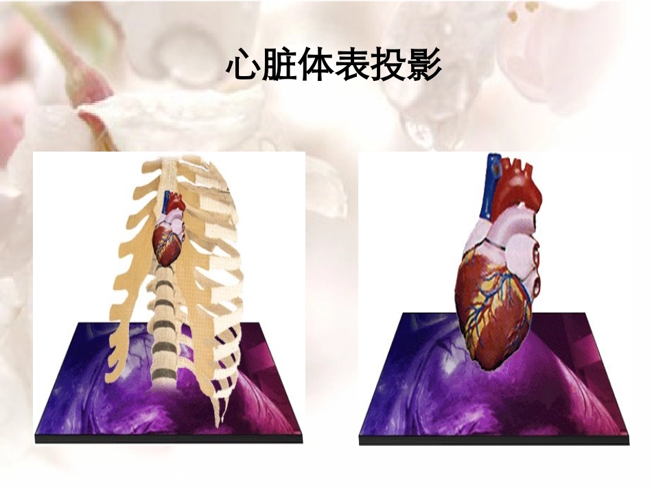 心脏体格检查.ppt.ppt_第3页