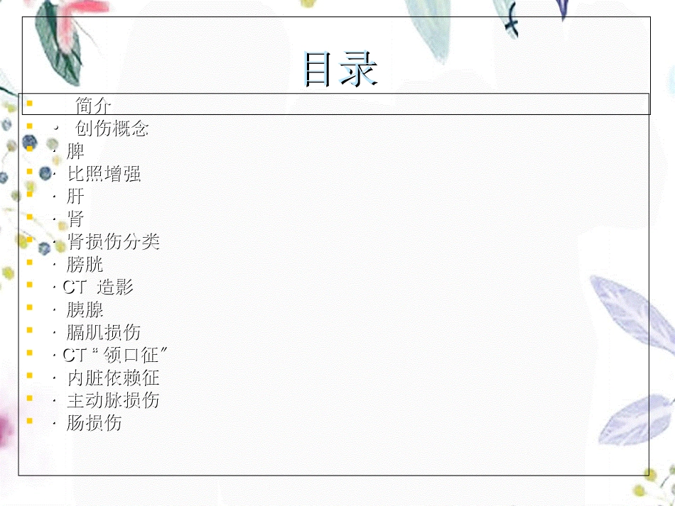 2023年CT在腹部外伤中的应用（教学课件）.ppt_第2页