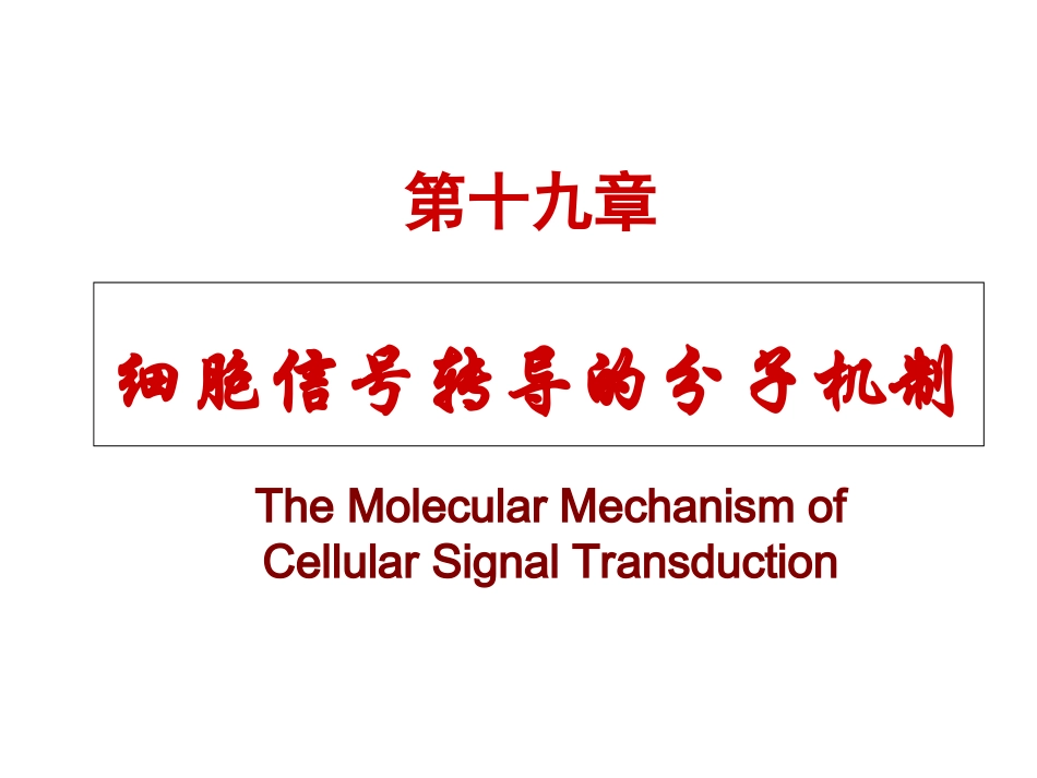 细胞信号转导的分子机制.ppt_第1页