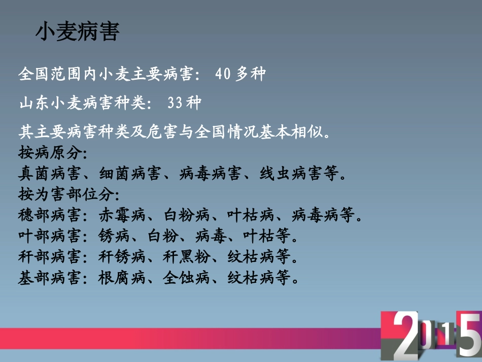 小麦病害.ppt_第3页