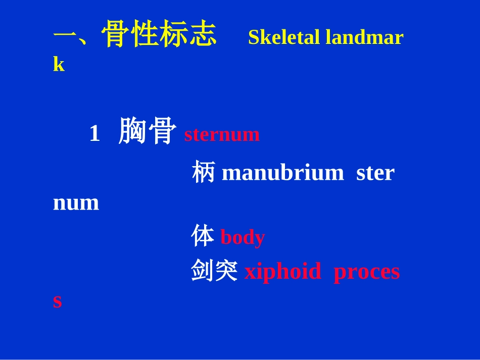 胸部检查—肺3(附件).ppt_第3页