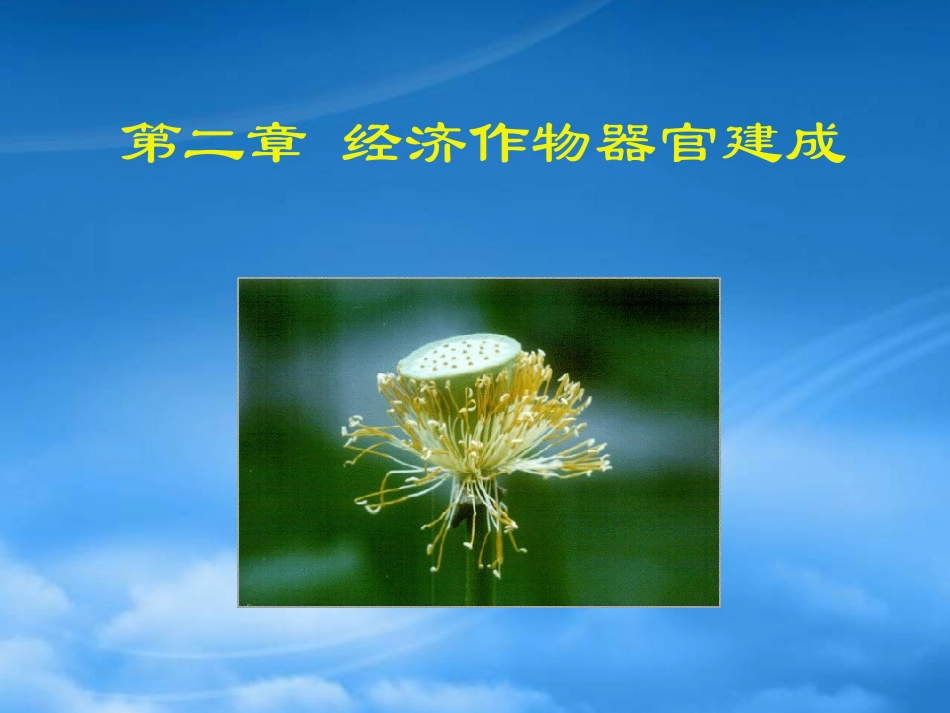 [精选]经济作物器官建成.pptx_第1页