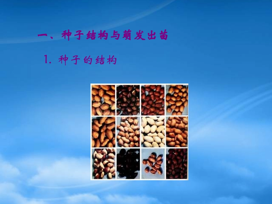 [精选]经济作物器官建成.pptx_第2页