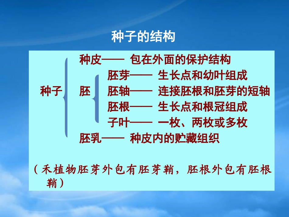 [精选]经济作物器官建成.pptx_第3页