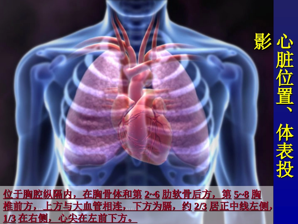 心血管体格检查.ppt_第3页