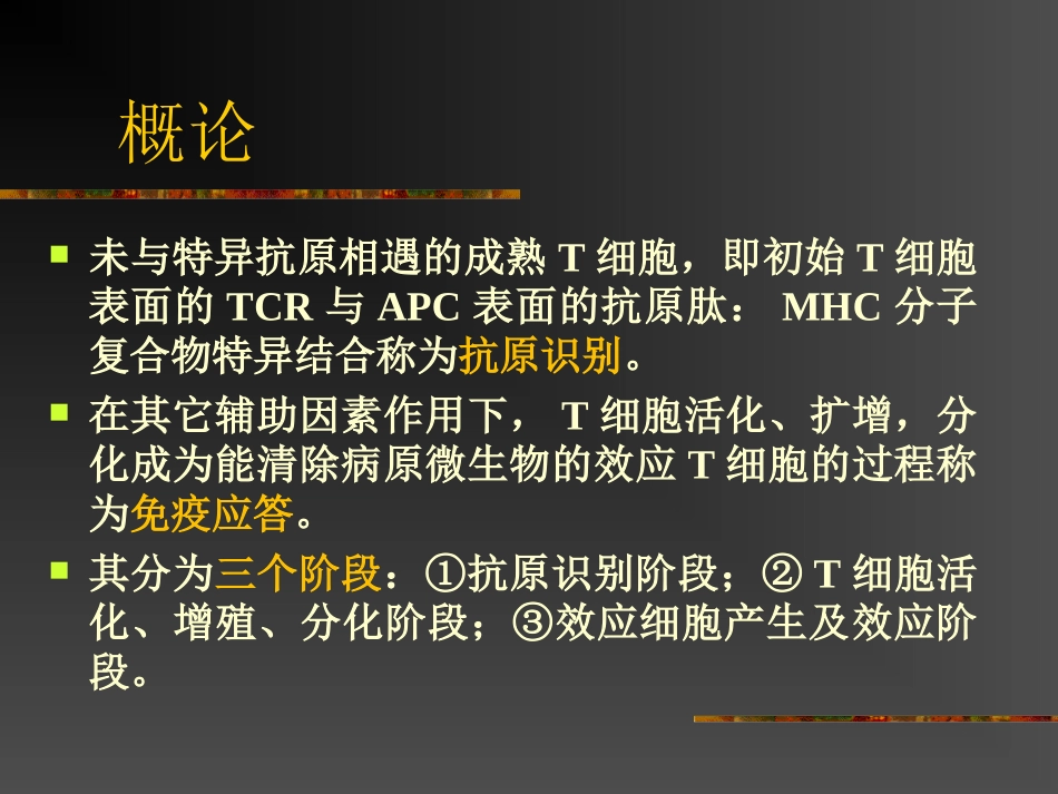 特异性T淋巴细胞应答.ppt_第2页