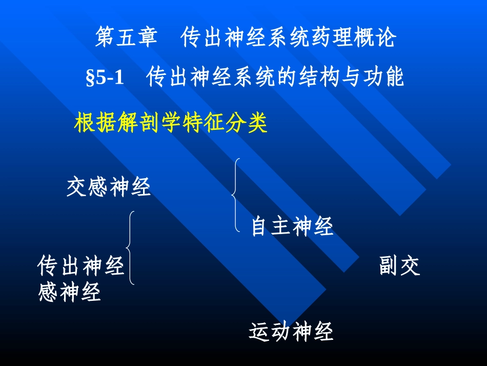 外周神经系统药理.ppt_第1页