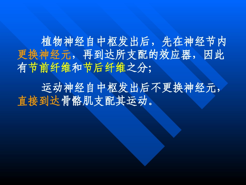 外周神经系统药理.ppt_第2页