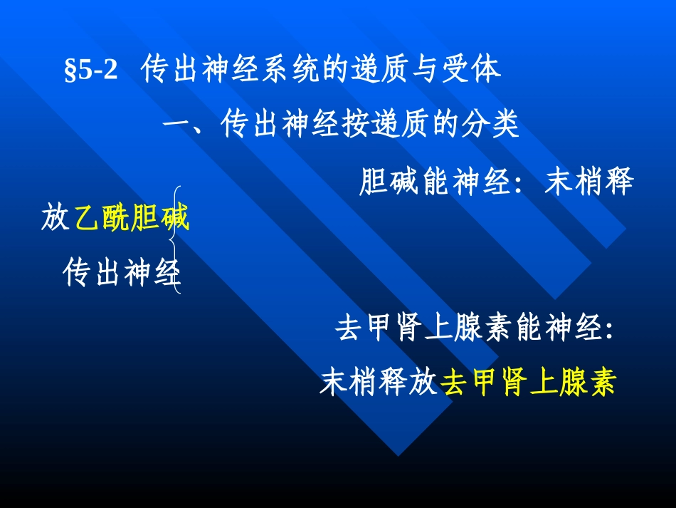 外周神经系统药理.ppt_第3页