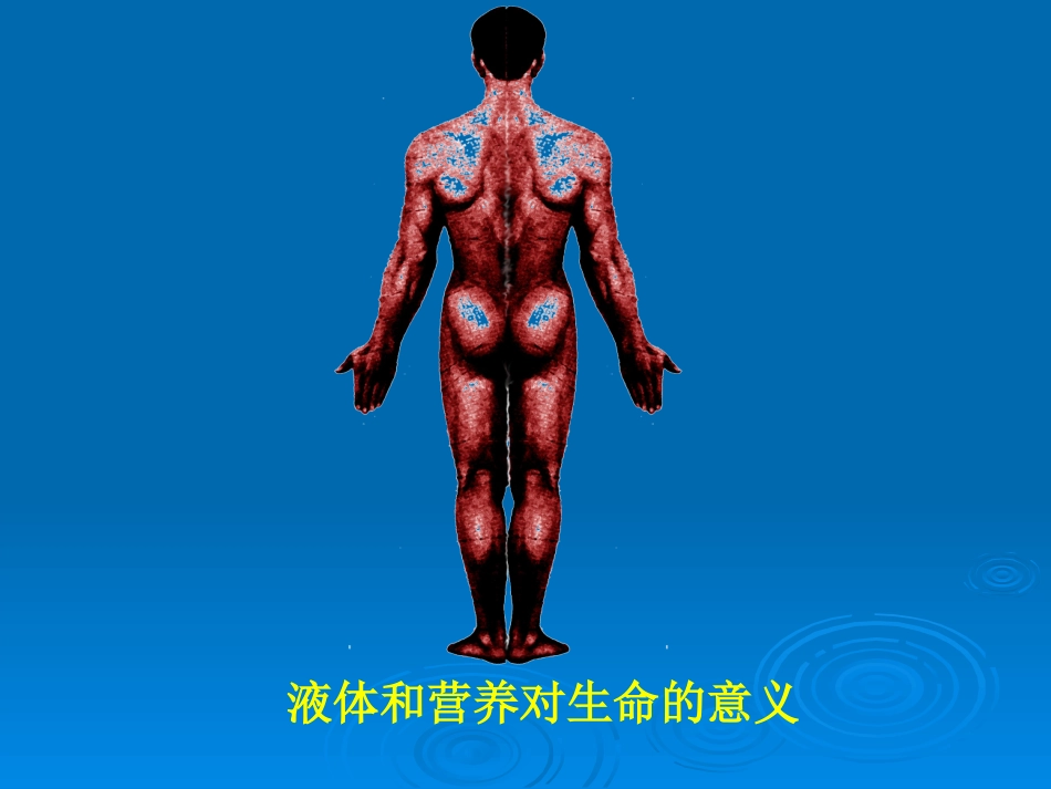 外科输液与营养.ppt_第3页