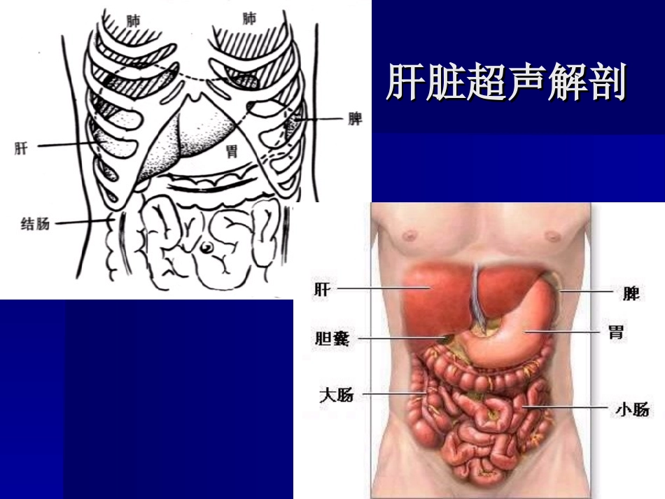 消化系统超声.ppt_第3页