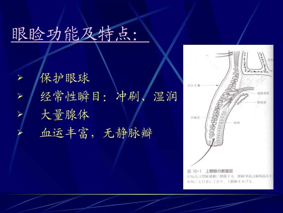 细菌性结膜炎.ppt_第2页