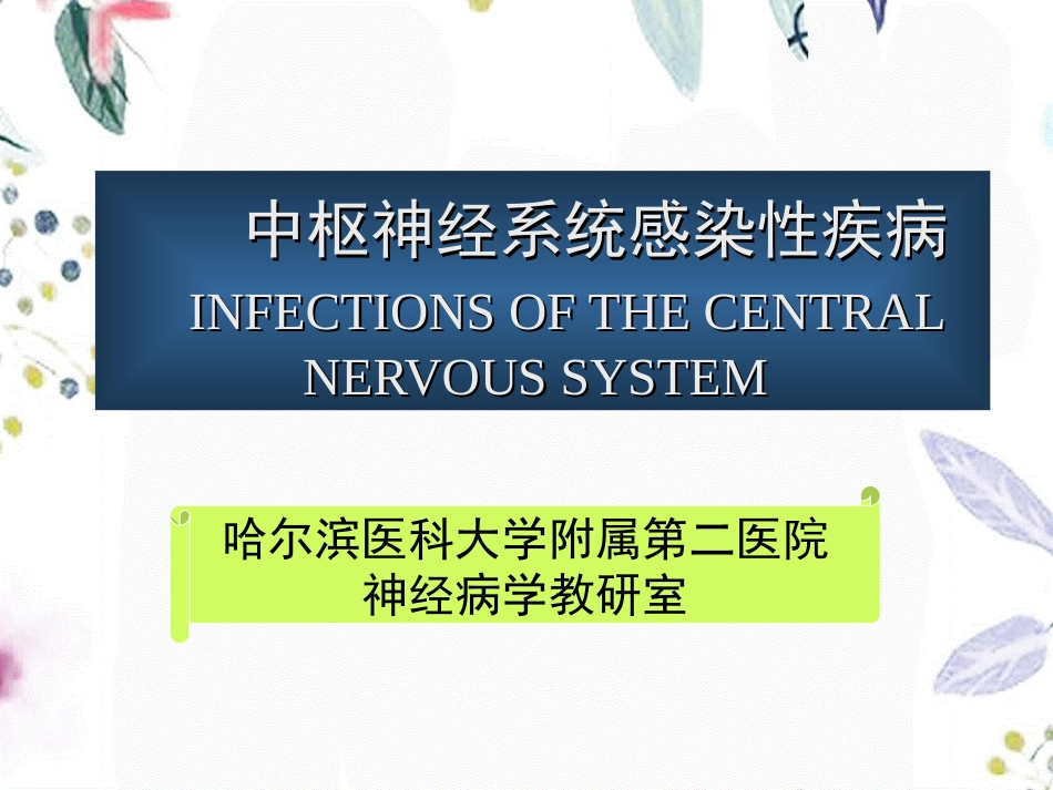 2023年CNS感染ppt（教学课件）.ppt_第1页