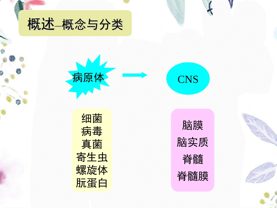 2023年CNS感染ppt（教学课件）.ppt_第3页
