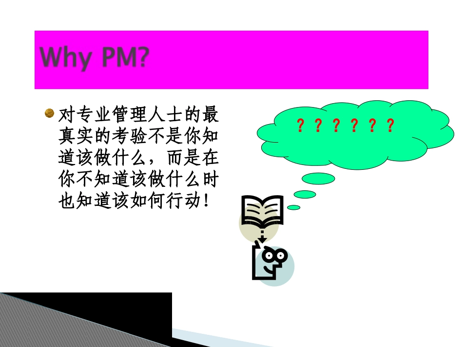 项目与项目管理.ppt_第2页