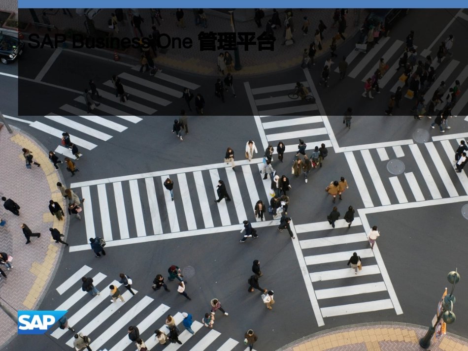 SAPB1功能讲解.pptx_第1页