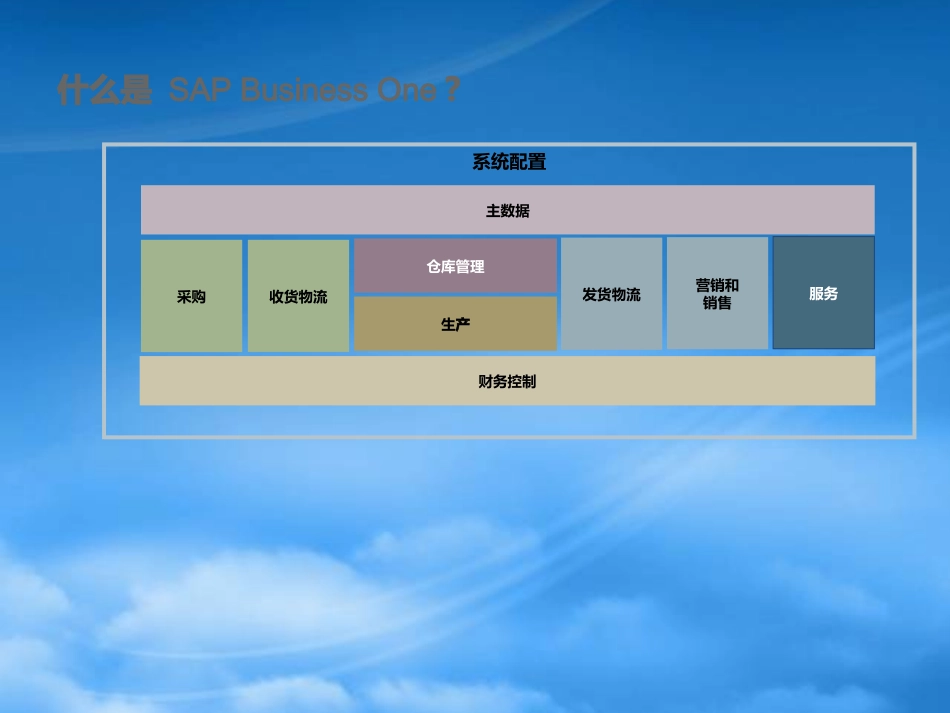 SAPB1功能讲解.pptx_第3页
