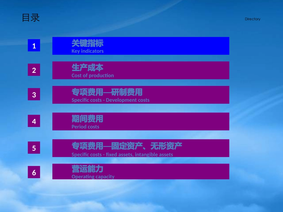 XX公司财务分析模版.pptx_第2页