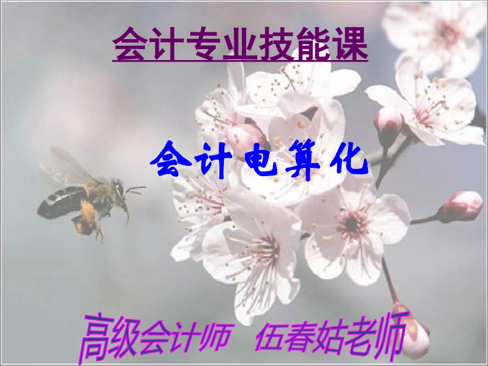 [精选]会计电算化第一次课.pptx_第1页