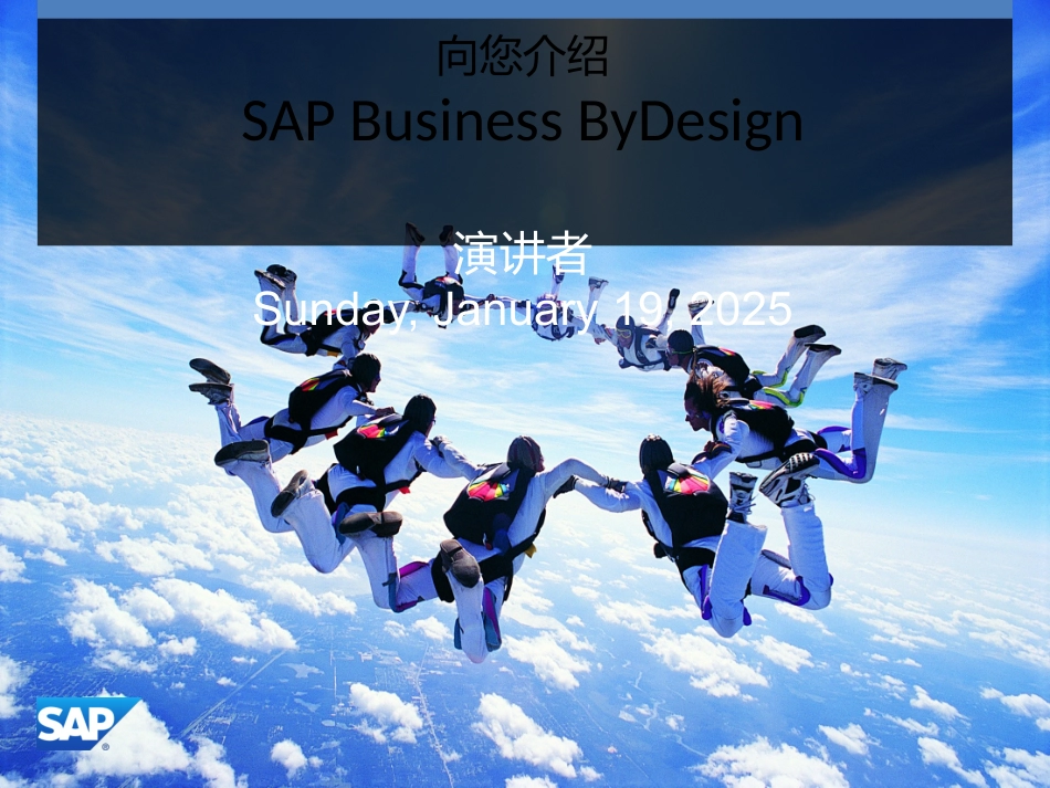 SAPBusinessByDesign介绍.pptx_第1页