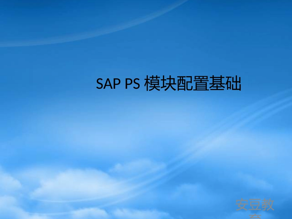 SAPPS模块配置基础.pptx_第1页