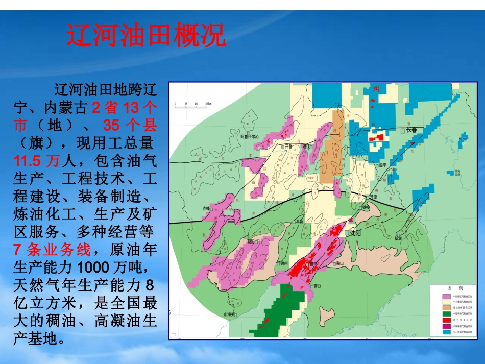 4-辽河油田ERP项目汇报.pptx_第3页