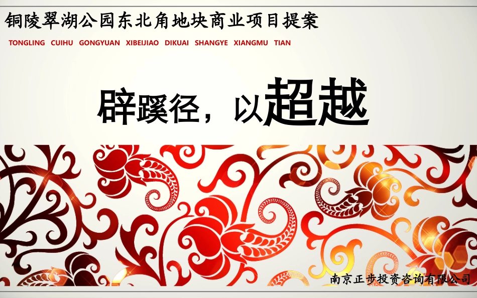 XXXX0531铜陵翠湖公园东北角地块商业项目提案.pptx_第1页