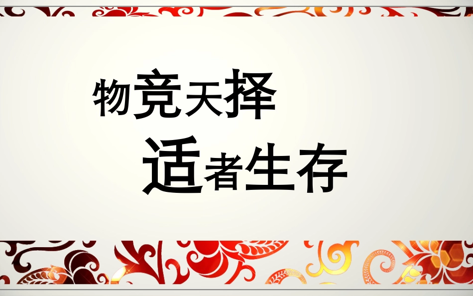 XXXX0531铜陵翠湖公园东北角地块商业项目提案.pptx_第2页