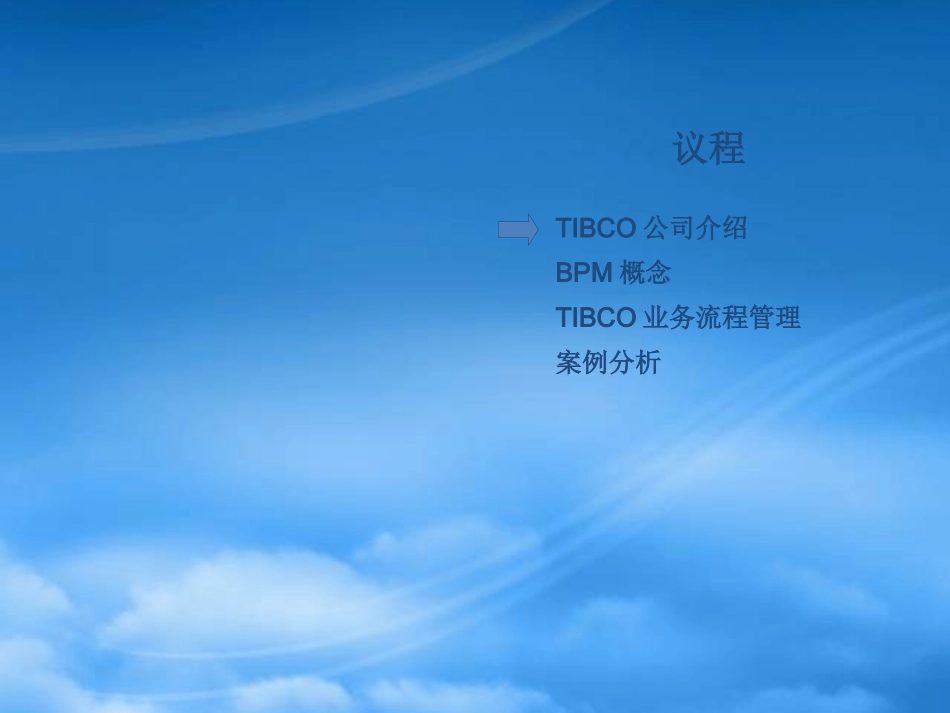 TIBCOBPM方案介绍1.pptx_第1页