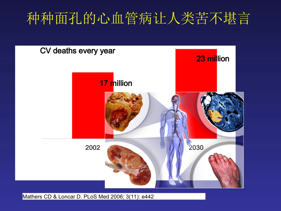 心血管病传统及新危险因素评价.ppt_第2页