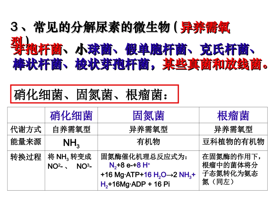 土壤中分解尿素的细菌的分离与计数.ppt_第3页