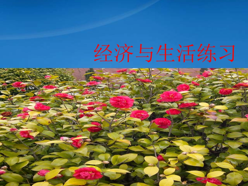 [精选]经济与生活练习.pptx_第1页