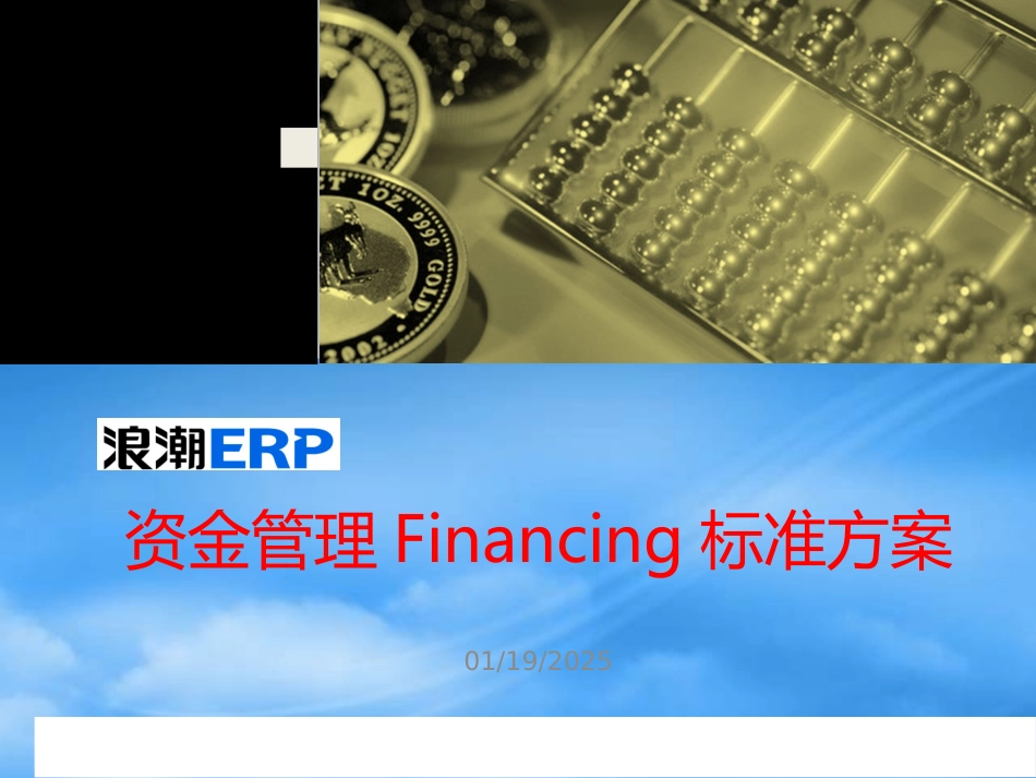 [精选]集团资金标准方案.pptx_第1页